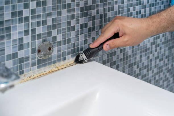 Best Toxic Mold Removal  in Tunnel Hill, GA