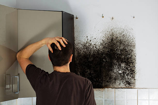 Best Home Mold Removal  in Tunnel Hill, GA